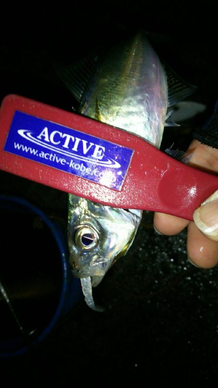 台風前の淡路島♪