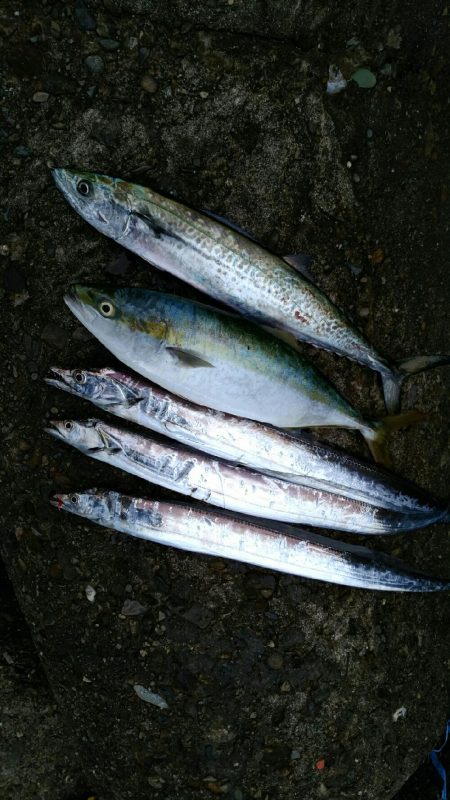 台風が来る前に