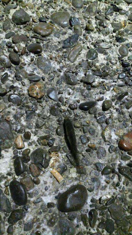 仕事帰りにタッチー調査。