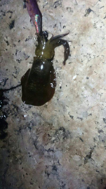 キープサイズが…