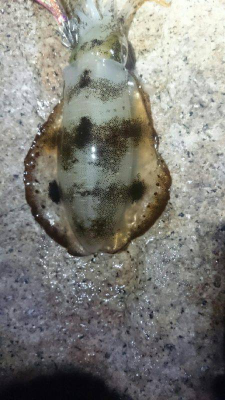 キープでけた。