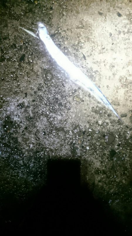 雨でも釣ります。