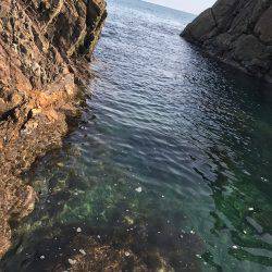 初 日本海 釣果