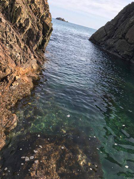 初 日本海 釣果