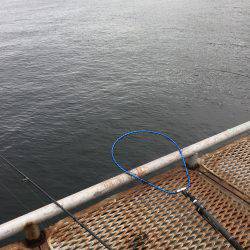 日曜日に娘と二人で…