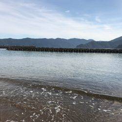 サイトで釣れましたー