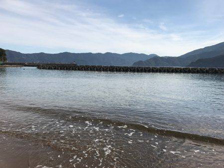 サイトで釣れましたー