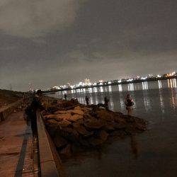 シーバス釣れた！