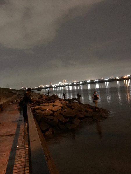 シーバス釣れた！