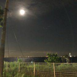 夕まずめチャレンジ(^^)