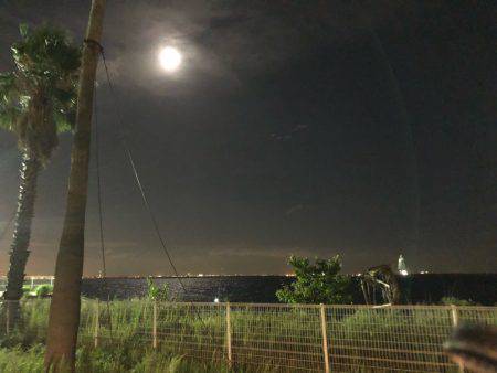 夕まずめチャレンジ(^^)