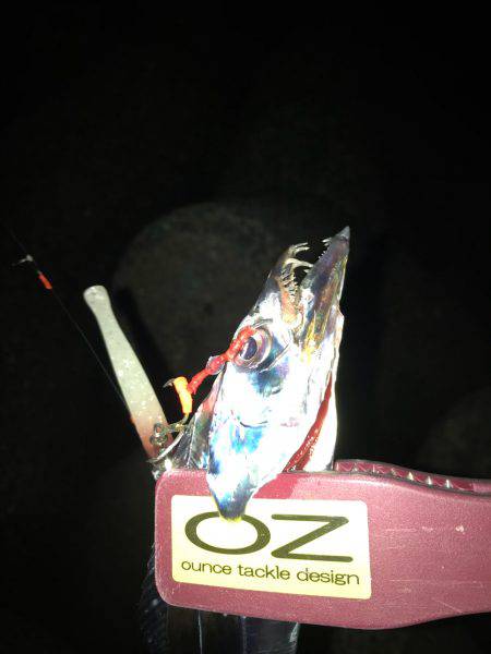 渋い、昨日の雨の影響かな？