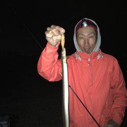 アオリイカ☆ハモ！？タチウオゲーム