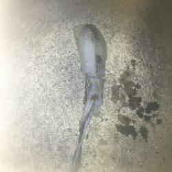 デジタルスケール買っちゃった☆