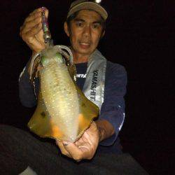 ナイトエギング