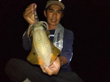 ナイトエギング