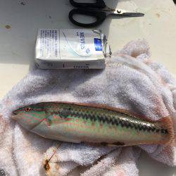 ボートで五目釣り！