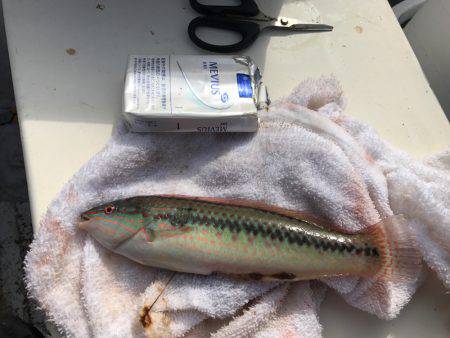 ボートで五目釣り！