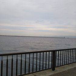 タチウオワインド