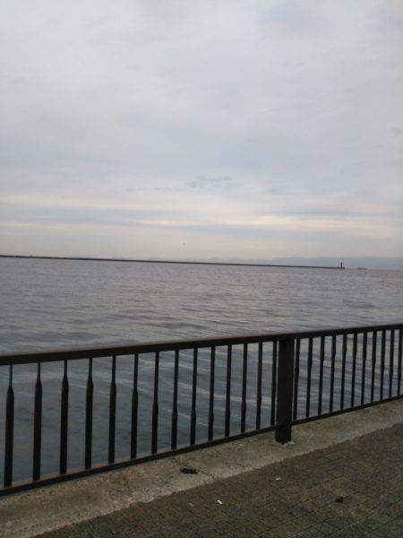 タチウオワインド