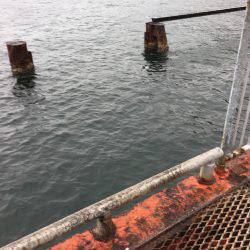 天気予報は雨なのに…それでも釣行