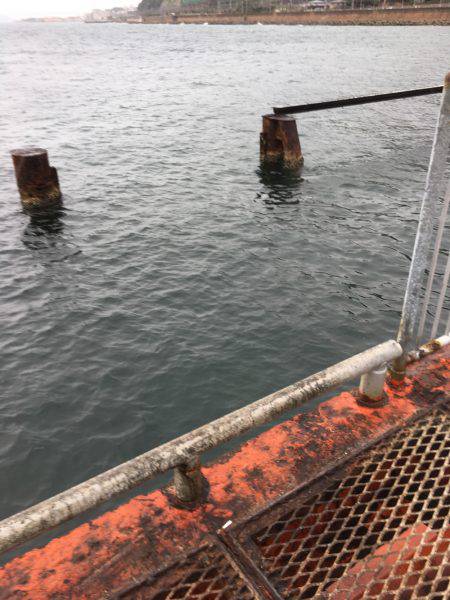 天気予報は雨なのに…それでも釣行