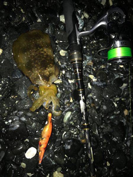 ナイトエギング‼︎