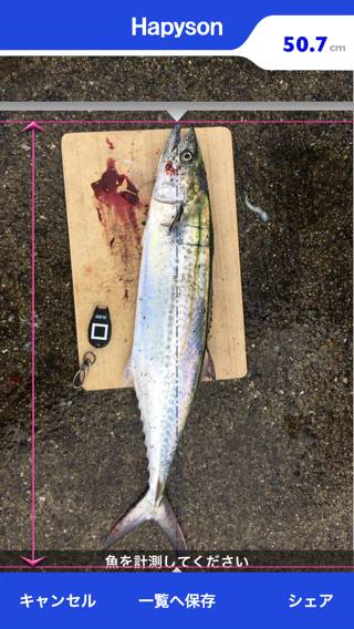 ドラゴン捕獲！