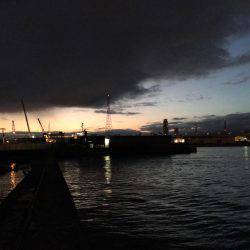 南港シーバス 高活性!