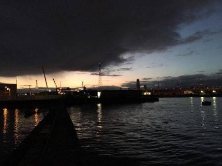 南港シーバス 高活性!