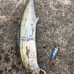 SSJで謎の魚ゲットしました