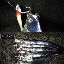 昨日の雨の影響、皆無！