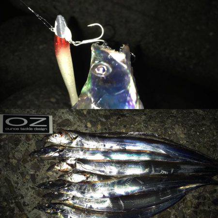 昨日の雨の影響、皆無！