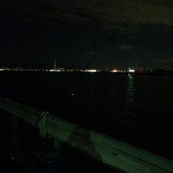 太刀魚、ボチボチ。