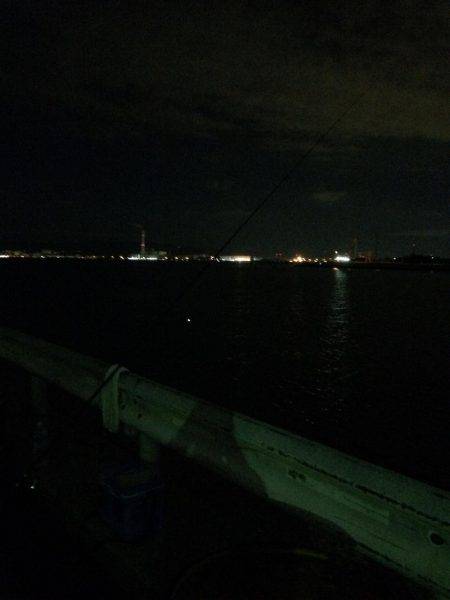 太刀魚、ボチボチ。