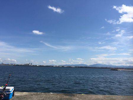 岸和田一文字サワラ！