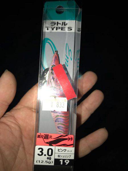 伊根から舞鶴までランガンエギング