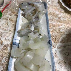 塩屋漁港エギング