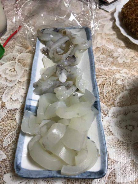 塩屋漁港エギング