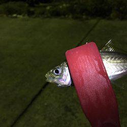 やばすぎる死ぬほど渋い