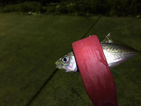 やばすぎる死ぬほど渋い