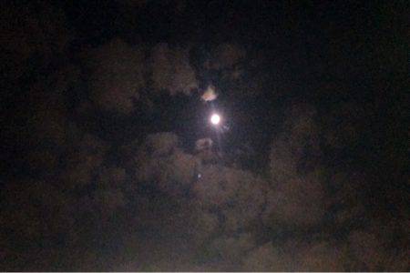 アタリのない時間をだいぶ過ごしてから、ようやく