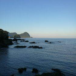 アオリイカ調査