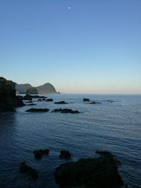 アオリイカ調査