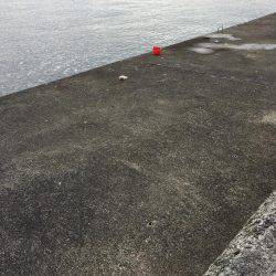 10ヒット8キャッチ まあまあかな。