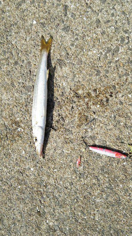 2017年10月9日釣行in鷹島