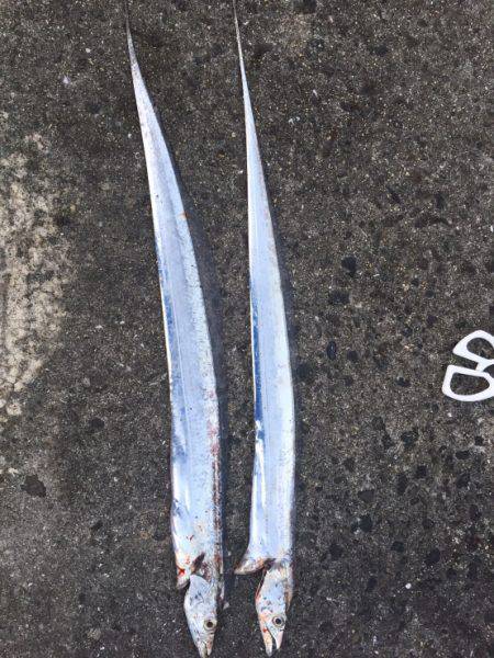 ショアジギング