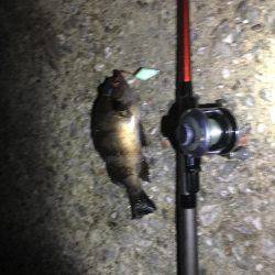 楽しい太刀魚釣り