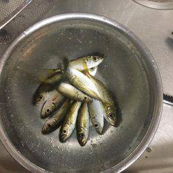 家族でカワハギング