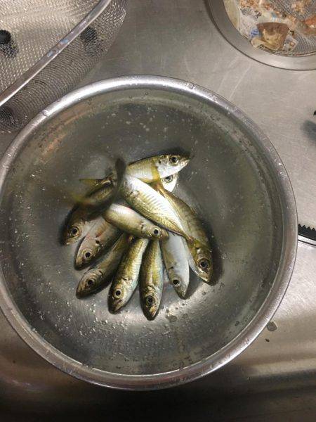 家族でカワハギング